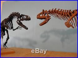 Allosaurs and Carnotaurus skeleton model kit combo! Free ship this week